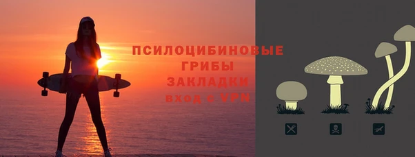 spice Арсеньев